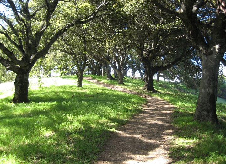 Hiking Trail