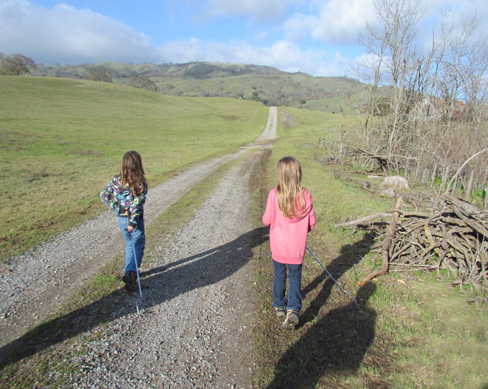 Mount Hamilton