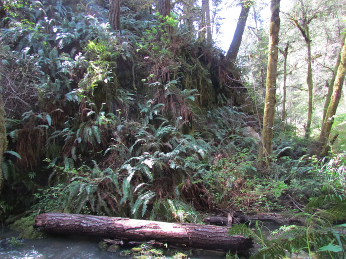 habitat
