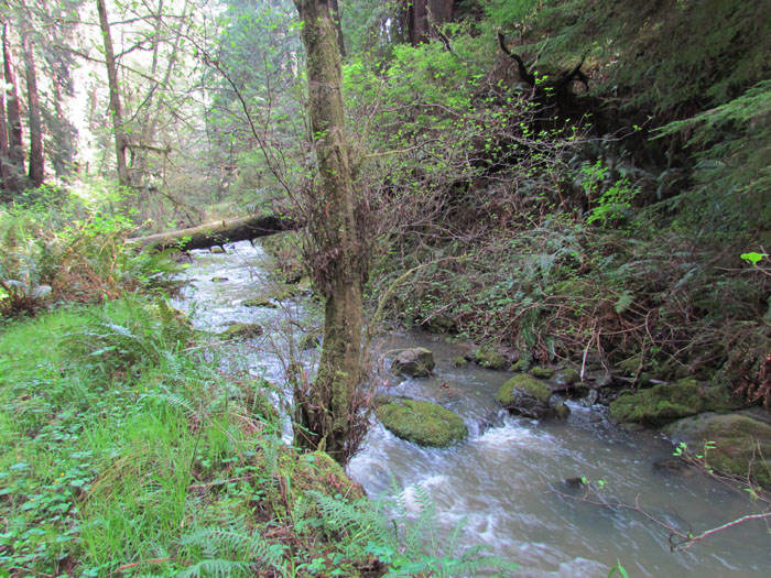 creek