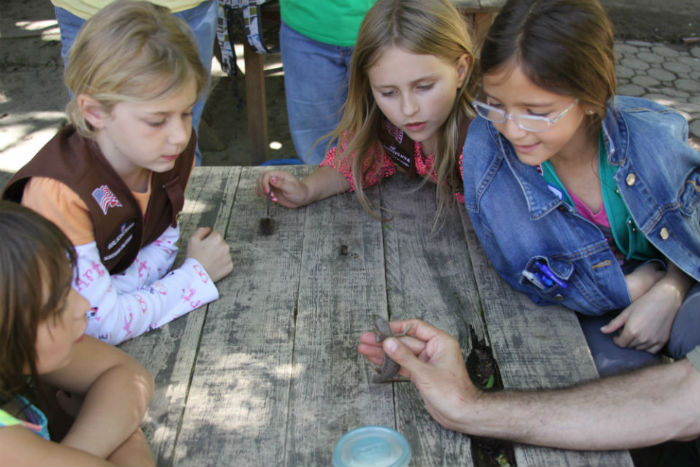 Los Gatos Girl Scout Troop 1411