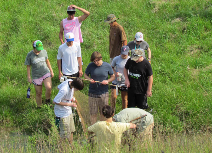 freshwater field study