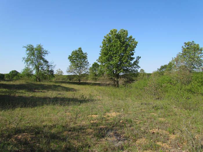 sandhills