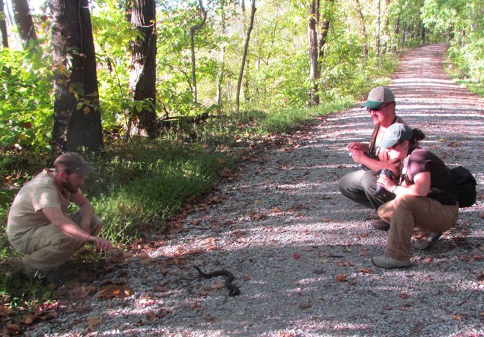 Field Herpers