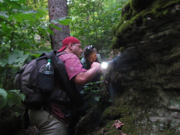 Field Herpers