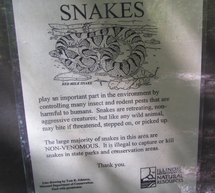 Snake Flyer