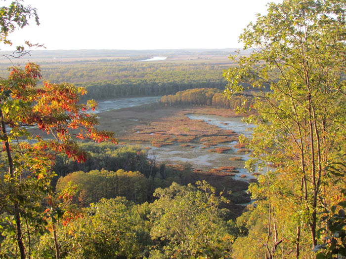 Illinois Landscape