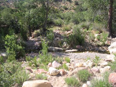 Desert Creek