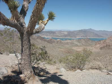 Colorado River