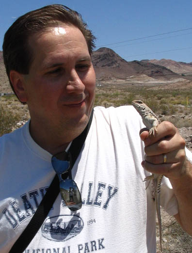 Desert Iguana