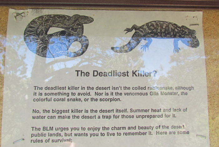 deadliest killer