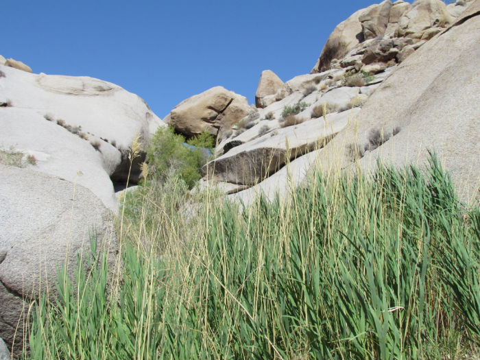 rock scramble