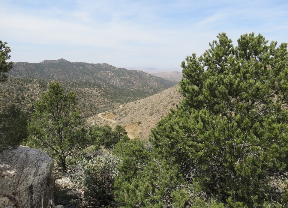 Cerbat Mountains