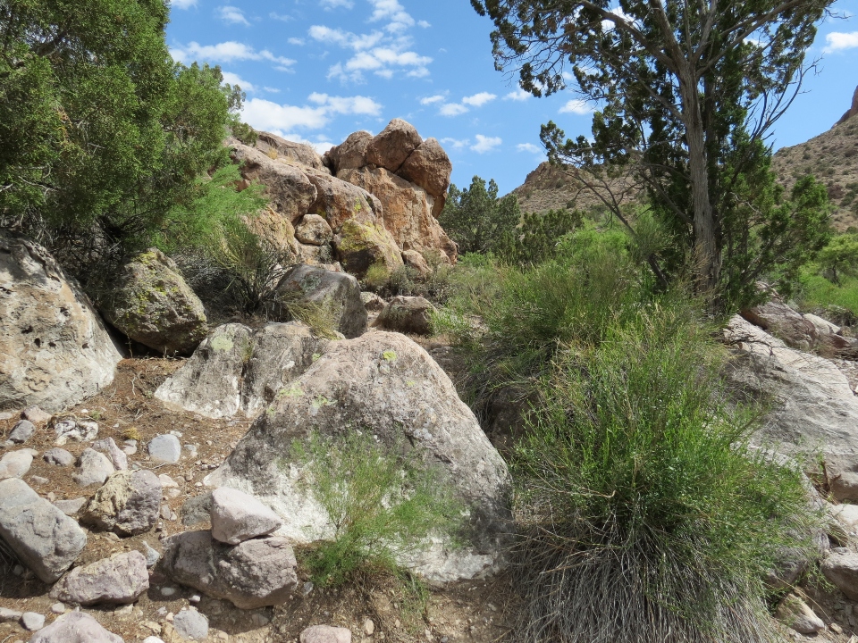 Herp Habitat